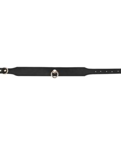 Black Collar With Golden Chain