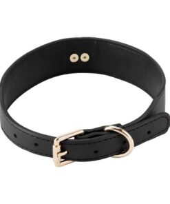 Black Collar With Golden Chain