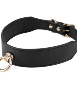 Black Collar With Golden Chain