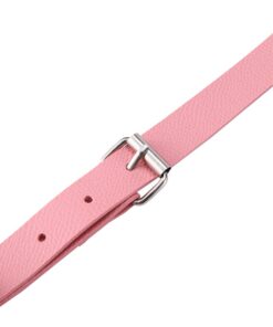 Pink Bat Harness Bondage Set