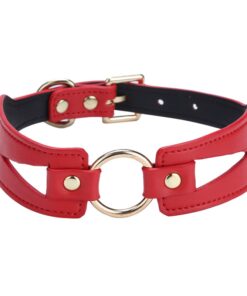 Red Collar With Drag Chain