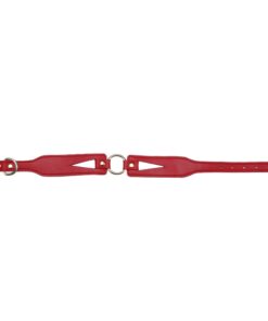 Red Collar With Drag Chain
